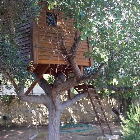 Alekos Beach Houses-nisos Holiday home