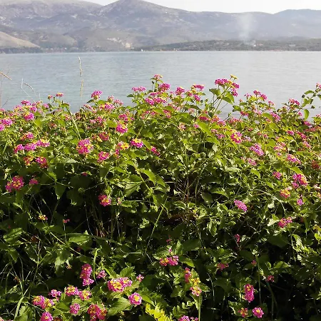 Alekos Beach Houses-nisos 펜션 *